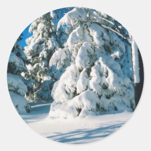 Snow Covered Evergreens Ronde Sticker