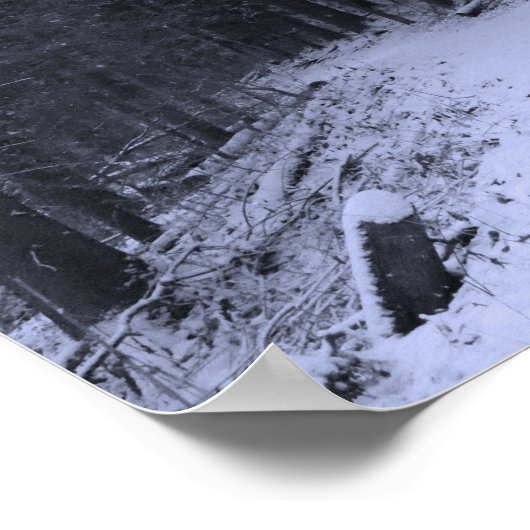 Snow Covered Hiking Trail 2 Poster (Hoek)