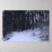 Snow Covered Hiking Trail 2 Poster (Voorkant)