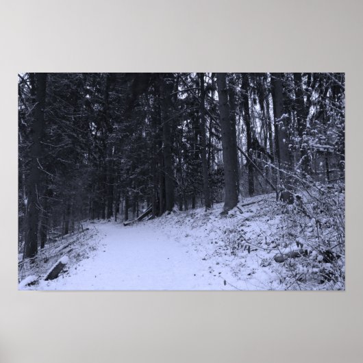Snow Covered Hiking Trail 2 Poster (Voorkant)