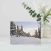 Snow-covered landschap briefkaart (Staand voorkant)