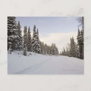 Snow-covered landschap briefkaart