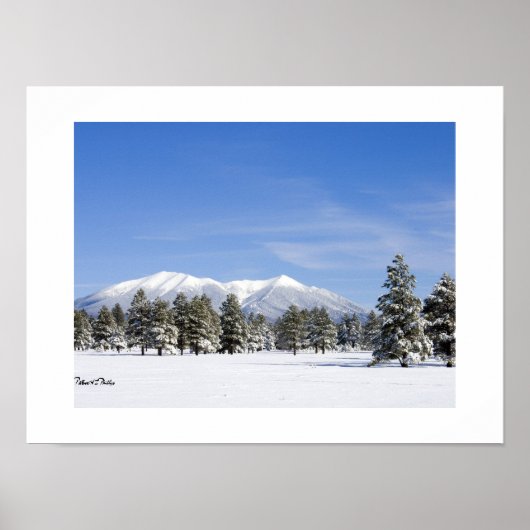 Snow Covered Prairie & San Francisco Peaks Arizona Poster (Voorkant)