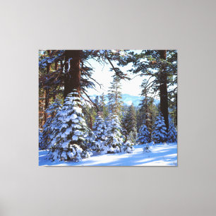 Snow-covered Red Fir trees in the High Sierra 2 Canvas Afdruk