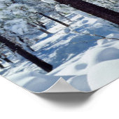 Snow-covered trees in the Laguna Mountains Poster (Hoek)