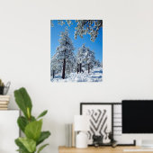 Snow-covered trees in the Laguna Mountains Poster (Thuiskantoor)