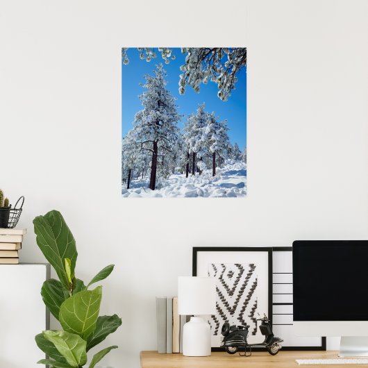 Snow-covered trees in the Laguna Mountains Poster (Thuiskantoor)
