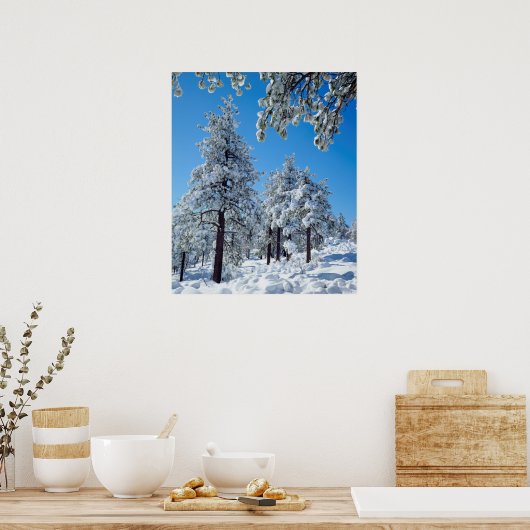 Snow-covered trees in the Laguna Mountains Poster (Keuken)