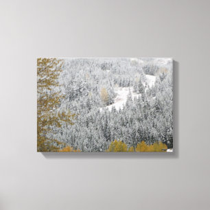 Snow Covered Trees in Whistler, B.C. Canvas Afdruk