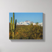 Snow Covertains Saguaro Cactus Arizona USA Canvas Afdruk (Voorkant)