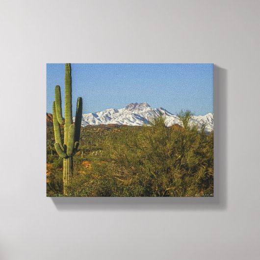 Snow Covertains Saguaro Cactus Arizona USA Canvas Afdruk (Voorkant)