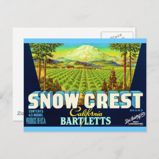 Snow Crest Briefkaart (Voorkant / Achterkant)