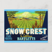 Snow Crest Briefkaart (Voorkant)