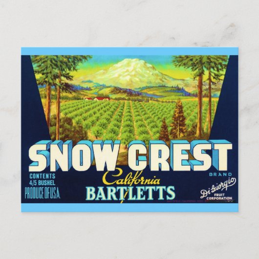 Snow Crest Briefkaart (Voorkant)