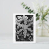 Snow Crystal Briefkaart (Staand voorkant)