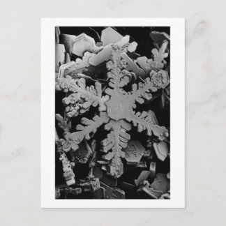 Snow Crystal Briefkaart