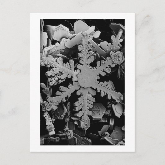 Snow Crystal Briefkaart (Voorkant)