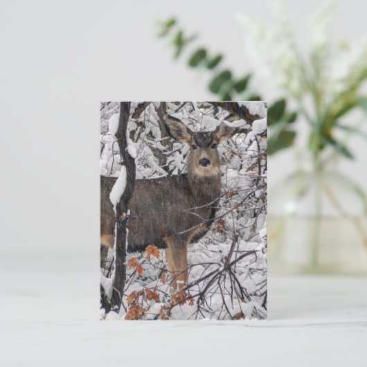 Snow Deer - Wasatch Front - Utah Briefkaart (Staand voorkant)