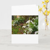 Snow Drops Kaart (Gele Bloem)