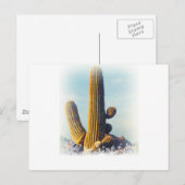 Snow Falling on Saguaro Briefkaart (Voorkant / Achterkant)