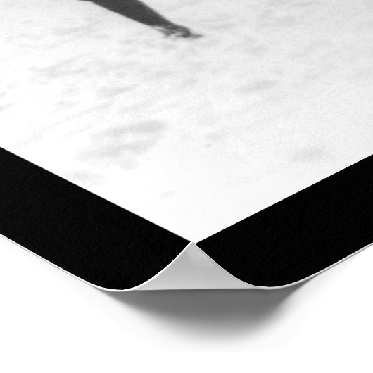 Snow Fight at Capital Washington, DC 1925 Poster (Hoek)