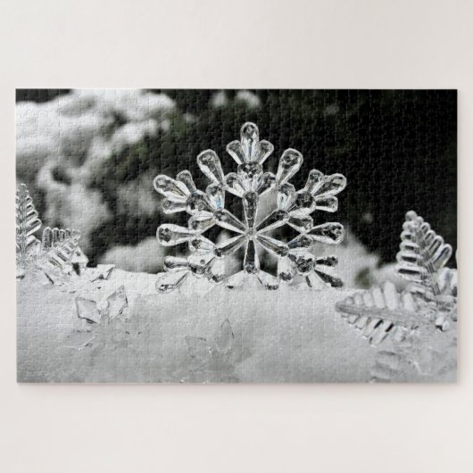 Snow Flakes Puzzle Legpuzzel (Horizontaal)