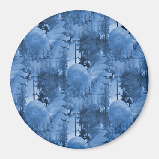 Snow flowers..... magneet (Voorkant)