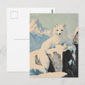 Snow fox  briefkaart (Voorkant / Achterkant)