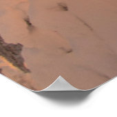 Snow Ghosts In The Whitefish Range Poster (Hoek)