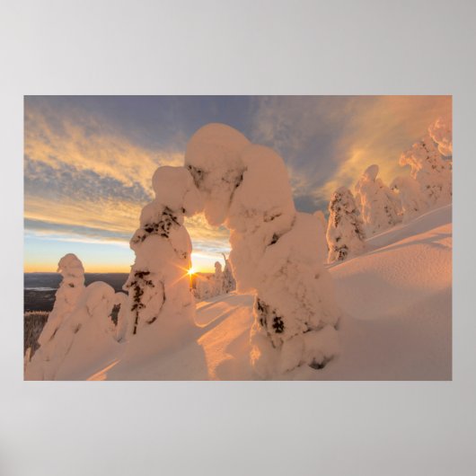 Snow Ghosts In The Whitefish Range Poster (Voorkant)
