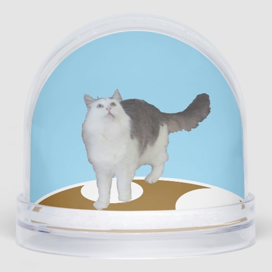 Snow Globe - Cat Looking Up Sneeuwbol (Voorkant)