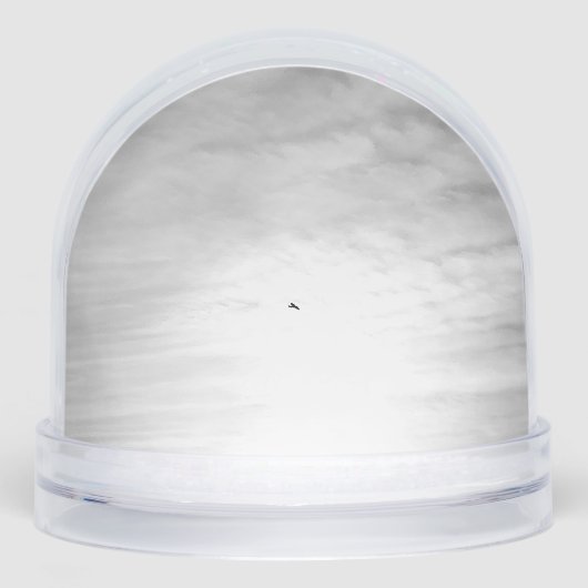 Snow Globe Sneeuwbol (Voorkant)