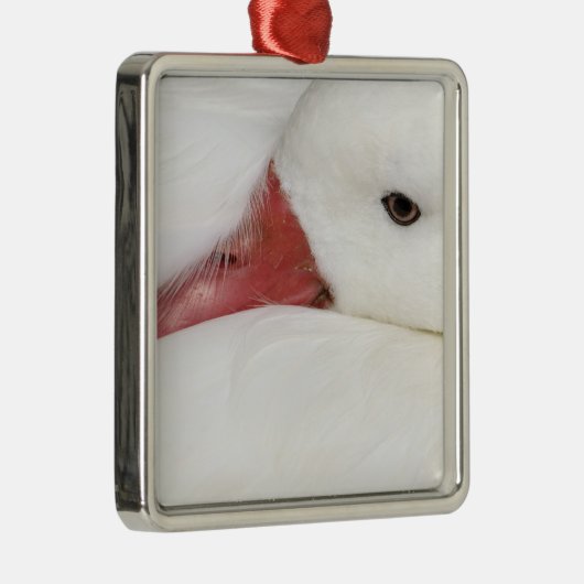 Snow Goose Chen caerulescens Metalen Ornament (Rechts)