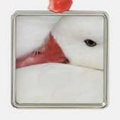 Snow Goose Chen caerulescens Metalen Ornament (Voorkant)