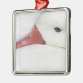 Snow Goose Chen caerulescens Metalen Ornament (Links)