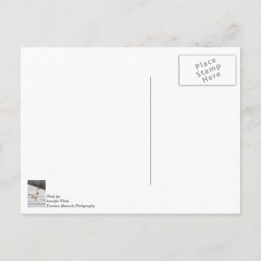 Snow Goose Strut Dank u Briefkaart (Achterkant)