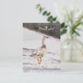 Snow Goose Strut Dank u Briefkaart (Staand voorkant)
