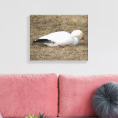 Snow Goose Wrapped Canvas Afdruk (Insitu (Woonkamer))