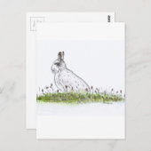 Snow Hare Briefkaart (Voorkant / Achterkant)