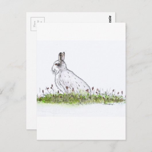 Snow Hare Briefkaart (Voorkant / Achterkant)