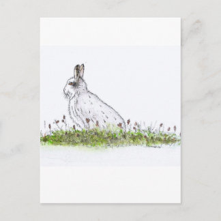 Snow Hare Briefkaart