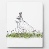 Snow Hare Fotoplaat (Voorkant)
