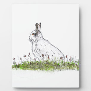 Snow Hare Fotoplaat