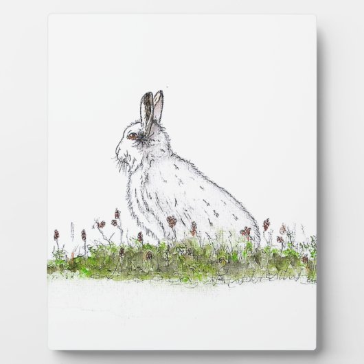 Snow Hare Fotoplaat (Voorkant)