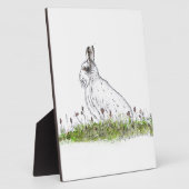 Snow Hare Fotoplaat (Zijkant)
