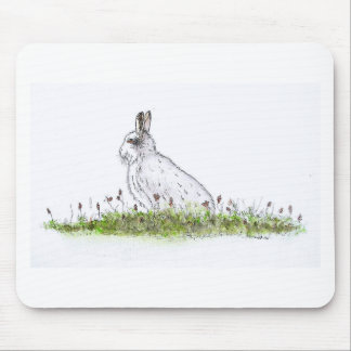 Snow Hare Muismat