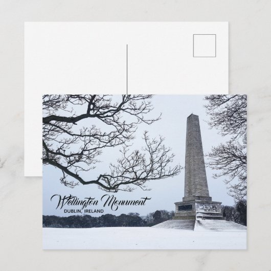 Snow in Phoenix Park, Dublin, Ierland Briefkaart (Voorkant / Achterkant)