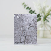 Snow-Laden-bomen Briefkaart (Staand voorkant)