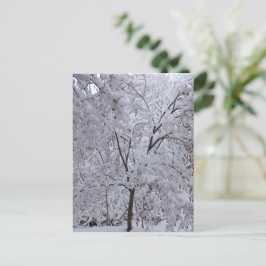 Snow-Laden-bomen Briefkaart (Staand voorkant)
