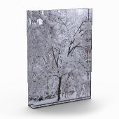 Snow-Laden-bomen Fotoblokken (Links)